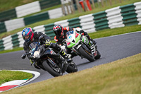 Lower Group Black Bikes